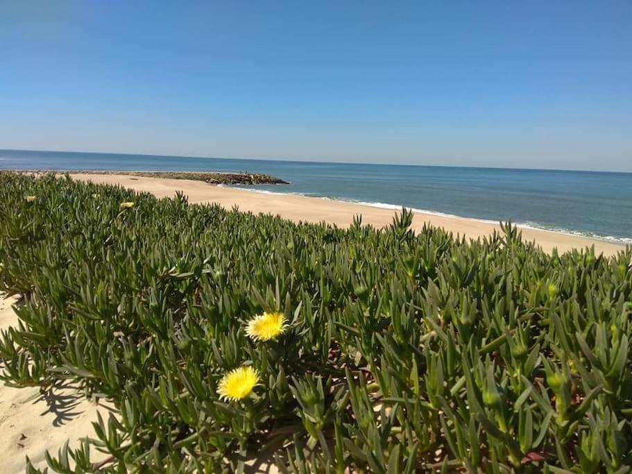 Marinha das Ondas Casa De Praia Acolhedora/ Cosy Beach House מראה חיצוני תמונה